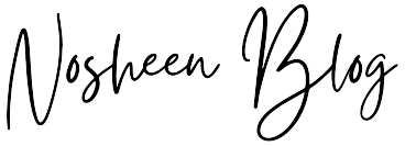 nosheen blog logo