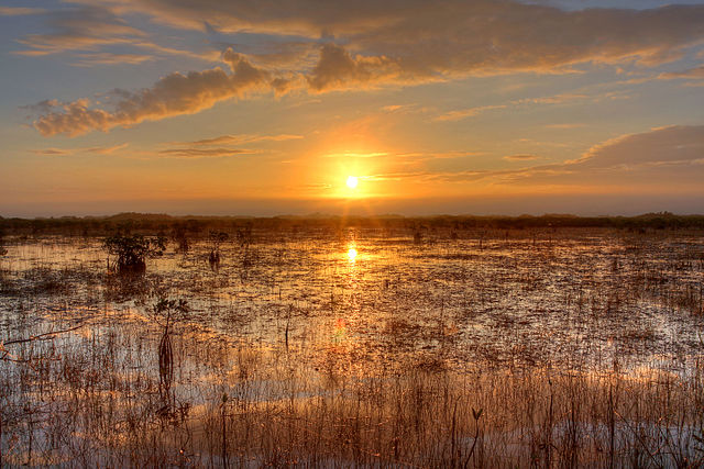 Best National Parks to Visit in the US